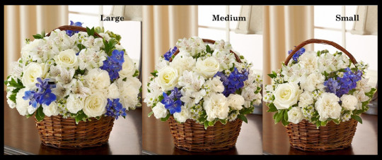 Blue & White Sympathy Basket Arrangement SF105