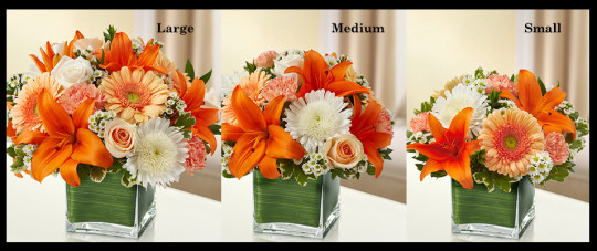 Peach Sympathy Vase Arrangement SF304