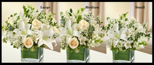 White Sympathy Vase Arrangement SF204