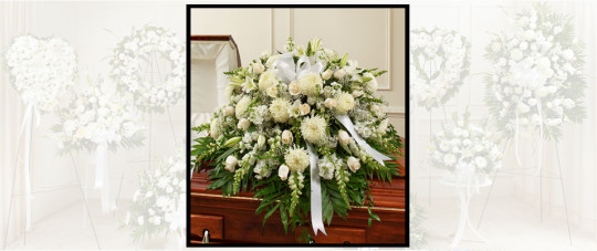 White Flowers Casket Spray SF200