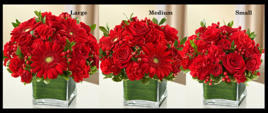 Red Sympathy Vase Arrangement SF504