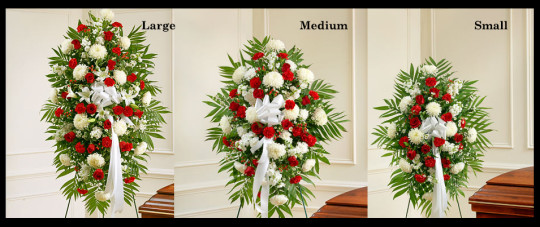 Red & White Sympathy Standing Sprays SF602