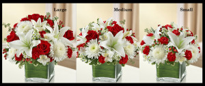 Red & White Sympathy Vase Arrangement SF604